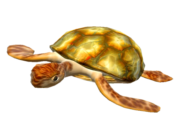 A 3D model of a sea turtle