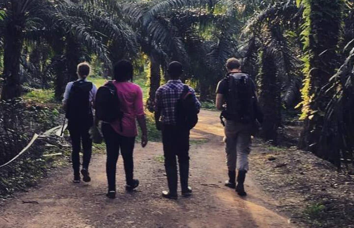 people walking down a jungle path