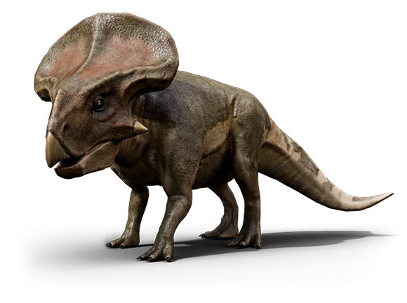 a 3D model of a triceratops
